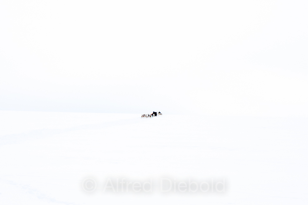 Greenland´s East Coast in Winter 2016